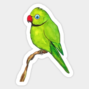Cute Indian ring neck Sticker